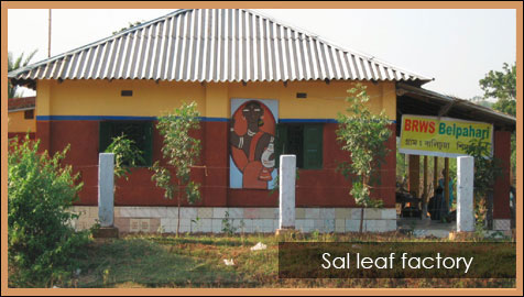 Sal leaf factory